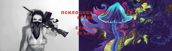 ПСИЛОЦИБИНОВЫЕ ГРИБЫ Богородск