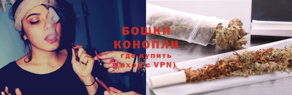 стафф Бородино