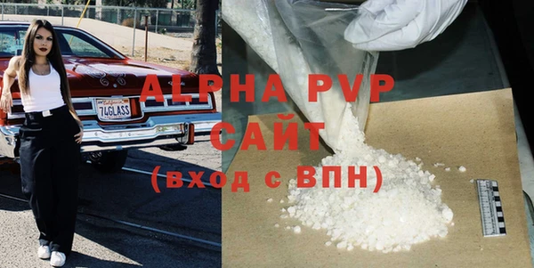 стафф Бородино