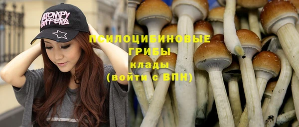 MDMA Premium VHQ Богородицк