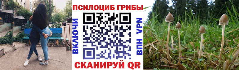 Галлюциногенные грибы Psilocybine cubensis  магазин    Котельнич 